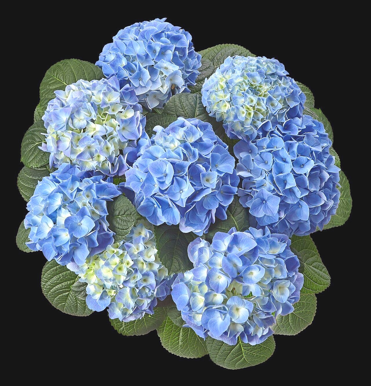 98